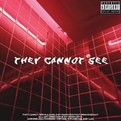 THEY CANNOT SEE( ft ECSTASY)