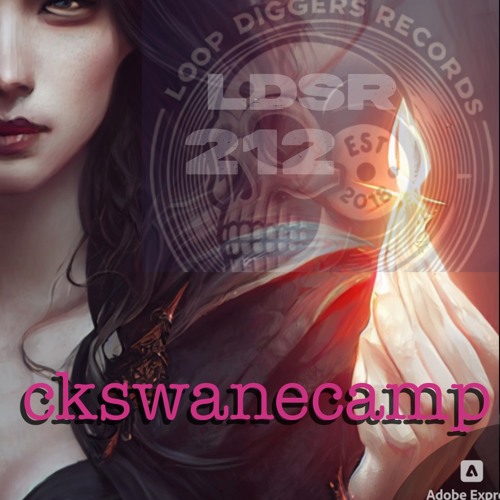 LDSR 2i2 - ckswanecamp 2