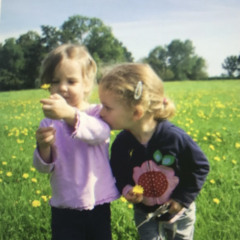 innards (voice memo)