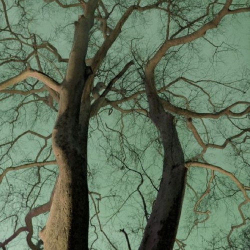 WHAT A VIEW prod. me