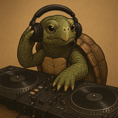 Tortoise Rising - MAGFest Submission Live Mix
