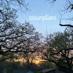assumptions (prod. eyezeck)