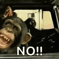 No!!