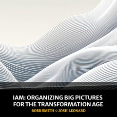 IAM: Organizing Big Pictures For The Transformation Age