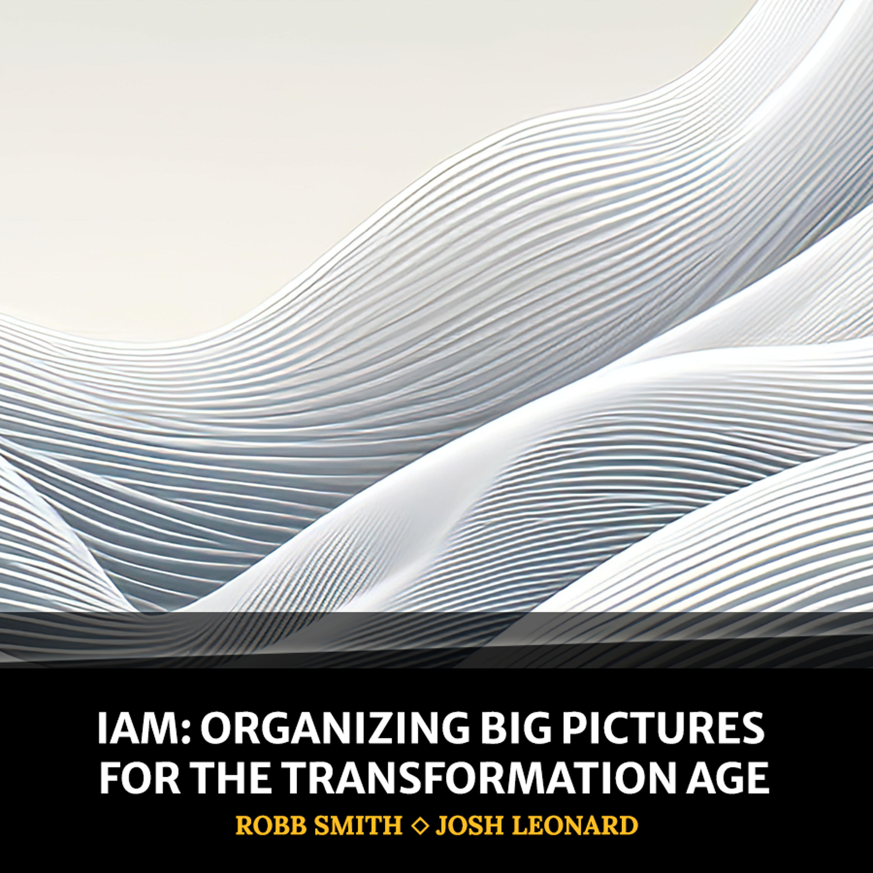 cover of episode IAM: Organizing Big Pictures For The Transformation Age