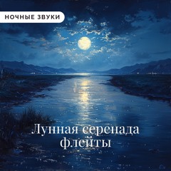 Свертки Тихой Ночью