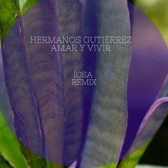 Hermanos Gutiérrez -Amar Y Vivir (Iosa Remix)