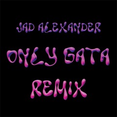 FloyyMenor, Chris Mj - Gata Only (Jad Alexander Remix)