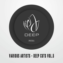 IMD164 - Various Artists - DEEP CUTS VOL.5