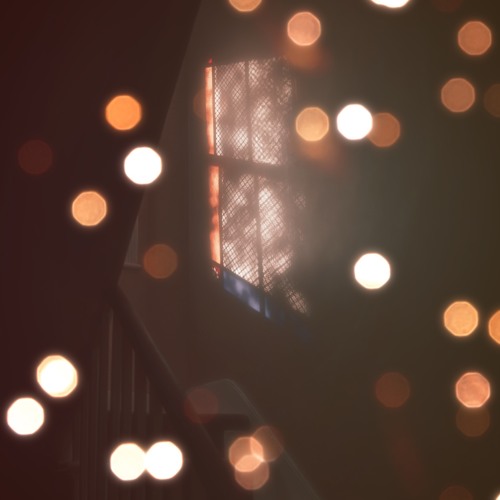 Cover for Where did you go?