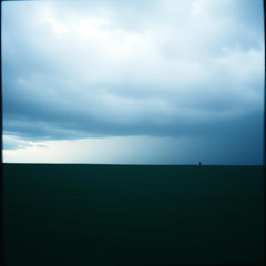 Русское поле из путинистов