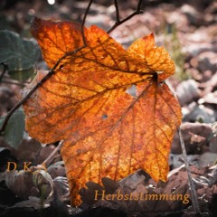 Autumn Vibe - Herbststimmung Nov 21