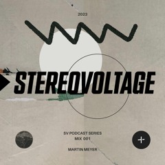 SV Podcast Series - 001 - Martin Meyer
