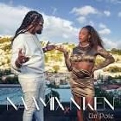NRJ ANTILLES - PROMO FUTUR HIT DE LA SEMAINE: NAAMIX - UN POTE