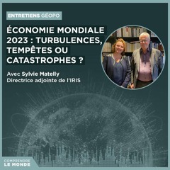 Économie mondiale 2023 : turbulences, tempêtes ou catastrophes ? Avec Sylvie Matelly