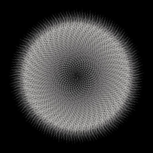 Parallel Forms & No Mind- Silence (Mellon Place Records)