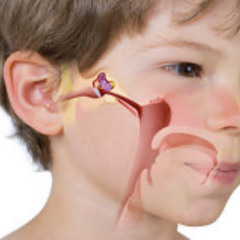 Three Earliest Sonic Memories