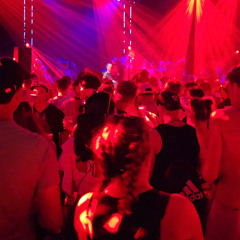 Z3nar - The cage 2024