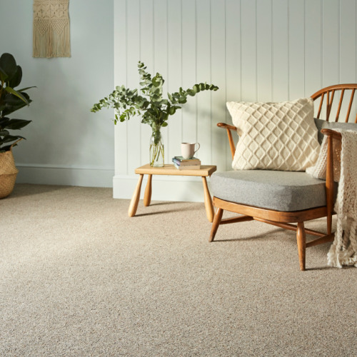 How Do You Choose the Right Carpet Colour for your Room