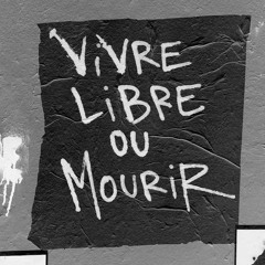 Vivre libre ou mourir (Poppykick23 Hardcore/Raw Remix)