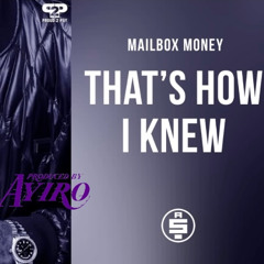 Nipsey Hussle - That's How I Knew [Remix] (Prod. By Ayiro)