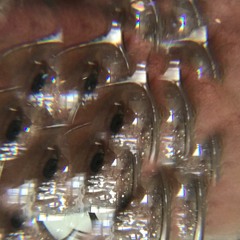 Live at Revolver Taipei 11/2/23