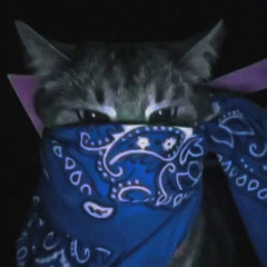 IShowSpeed — God King