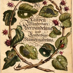 2024 - 09 - 12 15h49m39