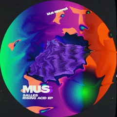 Salles - Rising Acid (Trajano Remix)_preview