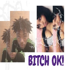 bitch ok! #b!tchOK