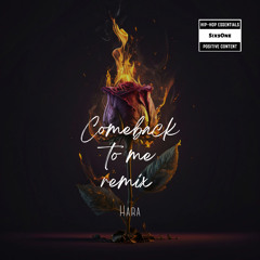 Comeback To Me remix - Hara