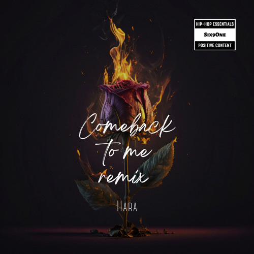 Comeback To Me remix - Hara