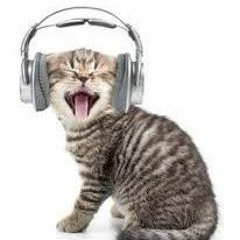 renard - Happy Rave