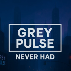 Never Had (Original Mix)