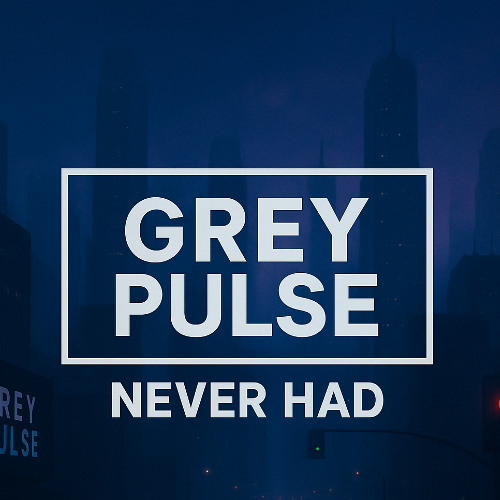 Never Had (Original Mix)