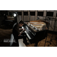 Alfonso Peduto - Binary Data XVIII