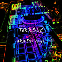 TekkBird - Minimal Mix / One Pattern - First Korg e2s-Session