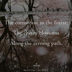 Evening Path - (Naviarhaiku - 539)