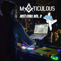 Just Chill Vol. 2 - Matticulous