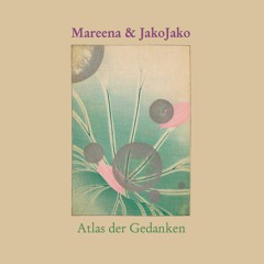 Mareena & JakoJako - Sinnessprung