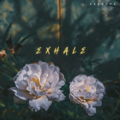 Exhale - Essence (WeVibe)