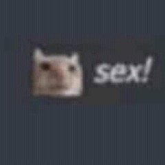 🐱 sex!