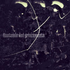 Anatomie Des Grincements