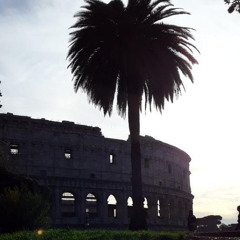 Fly2rome w/Vipersfantasy ヾ(⌐■_■)ノ♪