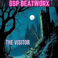 The Visitor