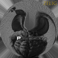 Zelig - Pousse (Tovaritch - KG Bootleg)