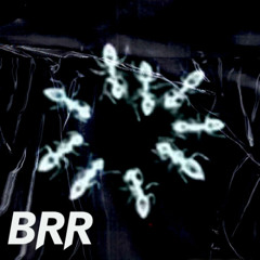 BRR X corecore