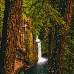 Fabled Chasm