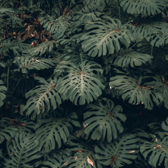 Reflection - Ambient Mix