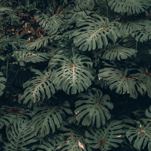 Reflection - Ambient Mix